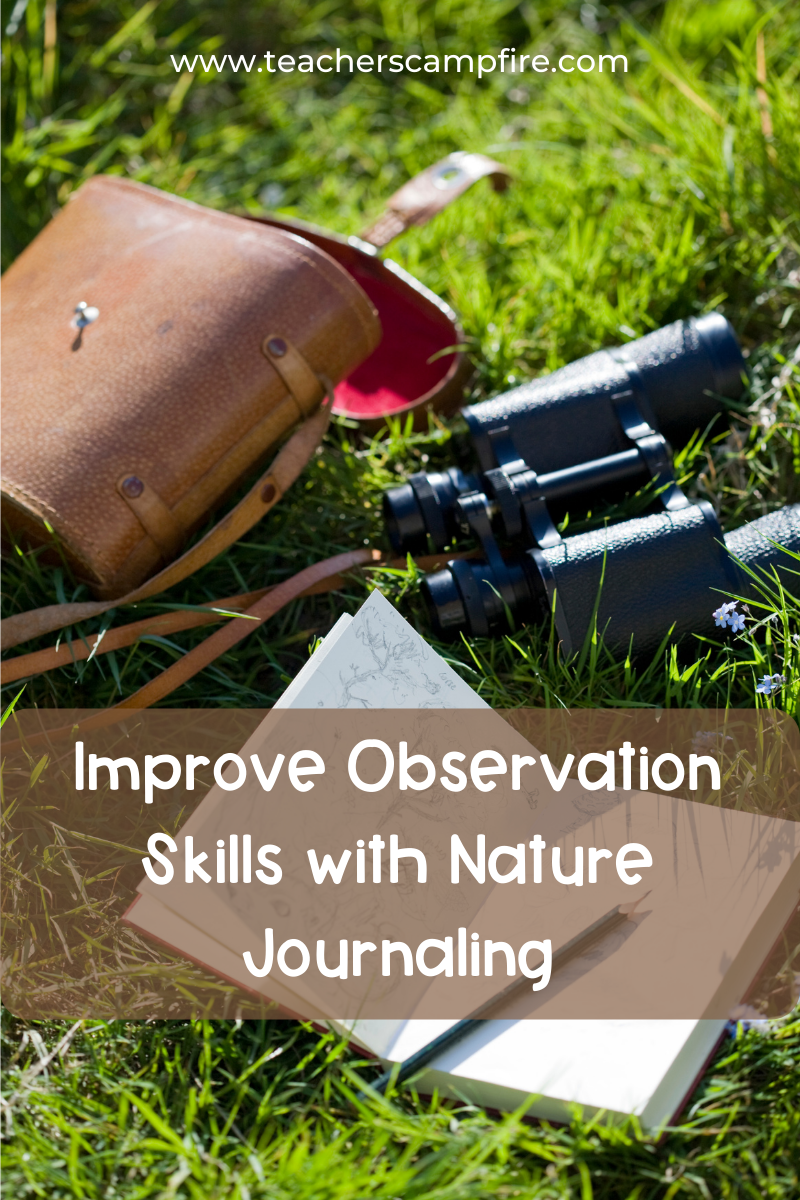 Improve observation skills with nature journaling